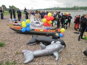 rheinschwimmen-30