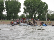 rheinschwimmen-39