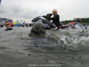 rheinschwimmen-48