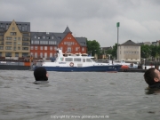 rheinschwimmen-50