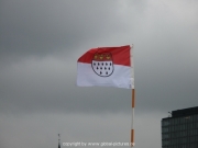 rheinschwimmen-52