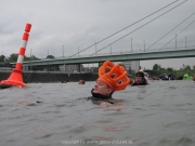 rheinschwimmen-57