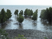 land-leute-strand-031