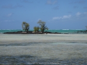 land-leute-strand-109