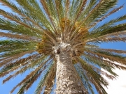 ibiza-03