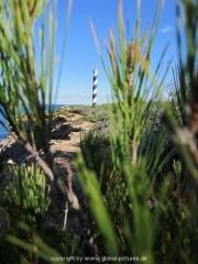 ibiza-15