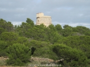 ibiza-46