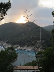 ibiza-83