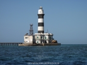 quick-shadow-100