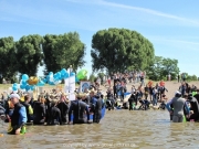 rheinschwimmen-29