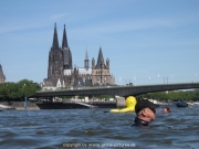 rheinschwimmen-44