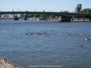 rheinschwimmen-47