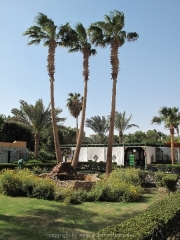 hurghada-002
