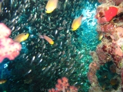hurghada-019