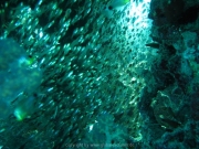 hurghada-020
