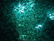 hurghada-021