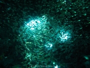 hurghada-022