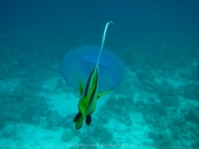 hurghada-025