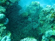 hurghada-028