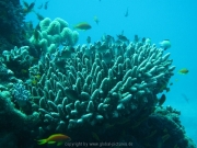 hurghada-029