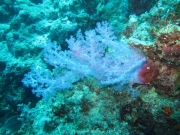 hurghada-037