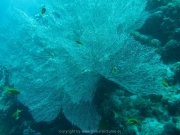 hurghada-039