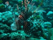 hurghada-041
