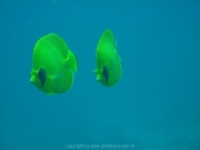 hurghada-043