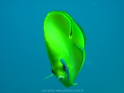 hurghada-044
