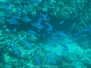 hurghada-045