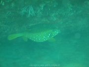 hurghada-053