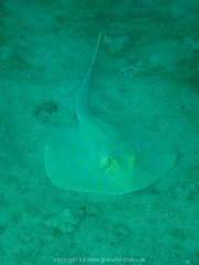 hurghada-054