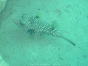 hurghada-057