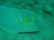 hurghada-060