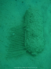 hurghada-067