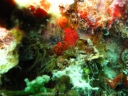 hurghada-076
