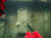 hurghada-083