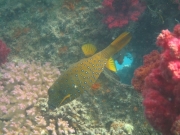 hurghada-085