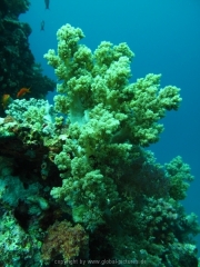 hurghada-090