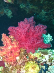 hurghada-092