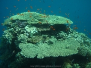 hurghada-094