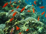 hurghada-095