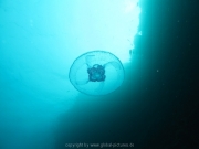 hurghada-104
