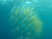 hurghada-108
