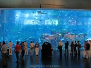 dubai-city-06