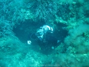ibiza-015