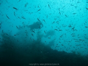 malediven-2013-052
