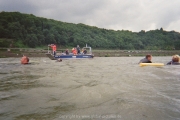 rheinschwimmen-bad-honnef-44