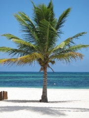 secrets-royal-beach-28