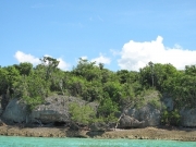 saona-island-11